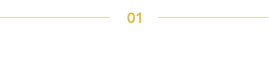 content01 - Forest Night Party