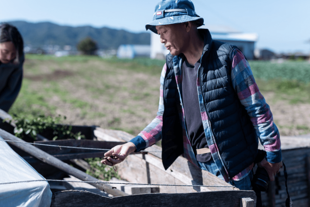 淡路島西洋野菜