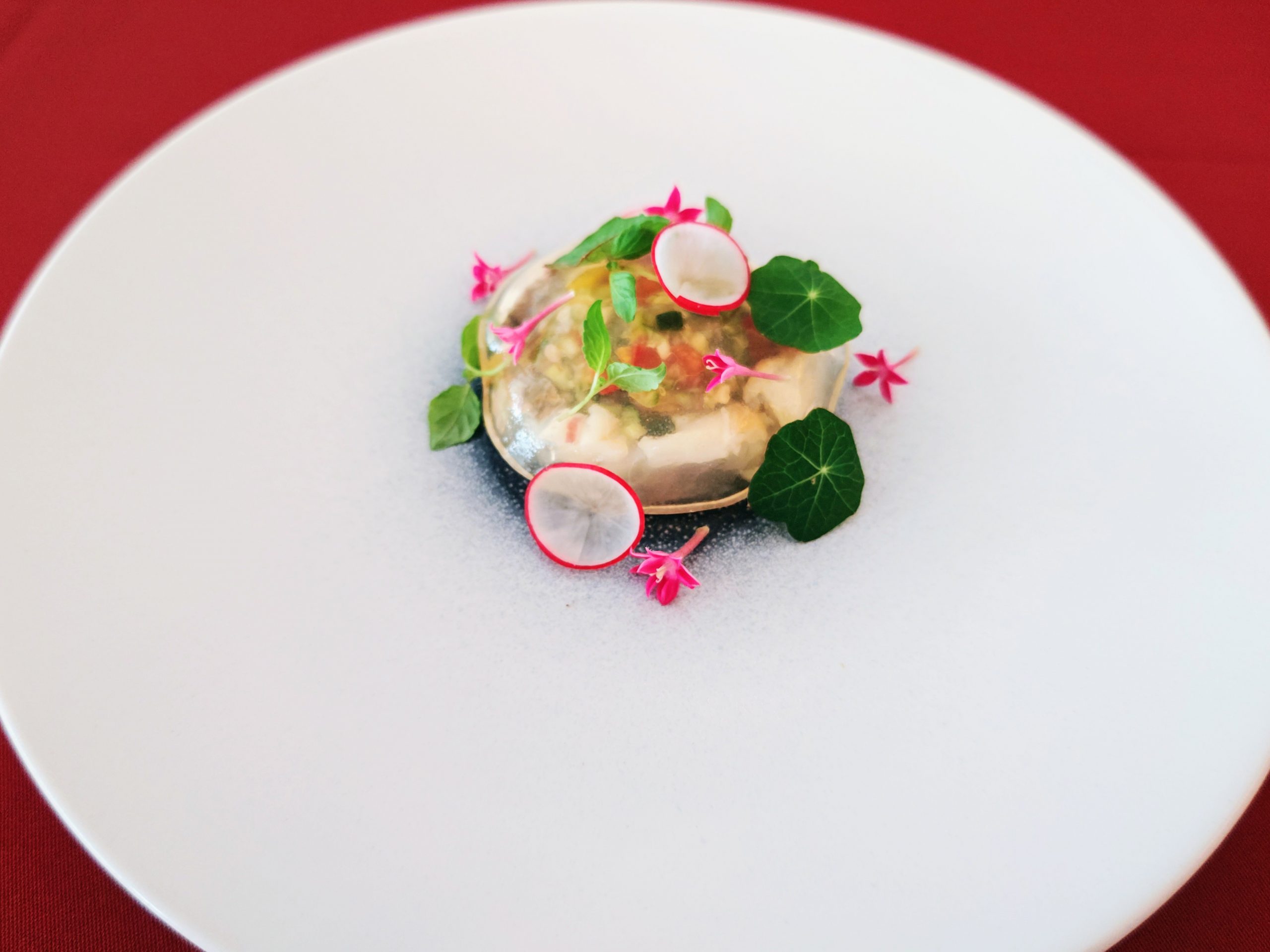 <p>【E】<span>夏野菜と明石鯛のミキュイ～ガスパッチョの風味～</span></p>
