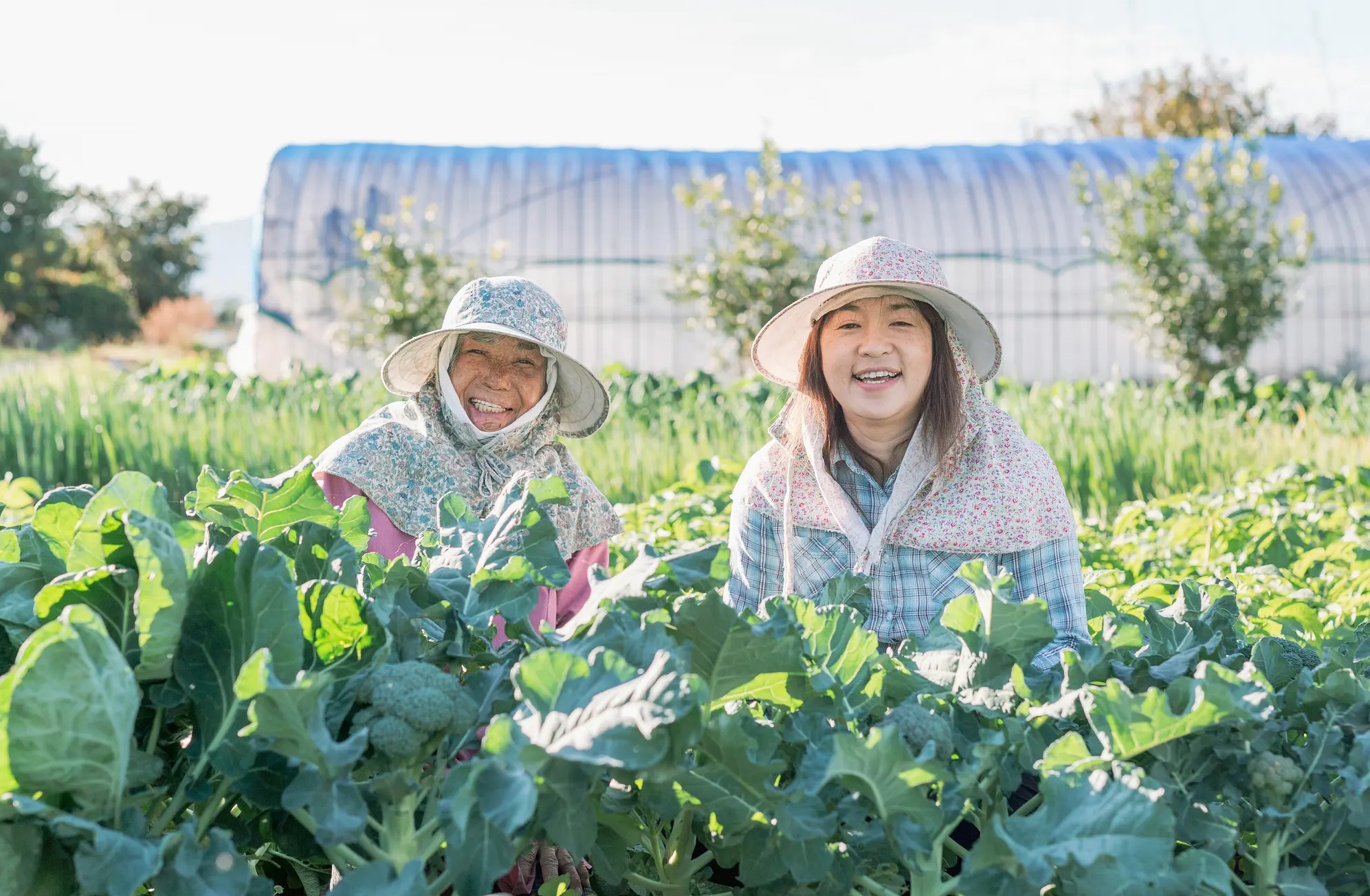 <h1 class="c-post_title" style="text-align: center;">レイクスファーム／野洲市</h1>
<p style="text-align: center;"><span>2024　8/1（木）</span></p>
<p style="text-align: center;">テーマ/ブルーベリー</p>
<p style="text-align: center;">料金：4,500円<br />
シェフの料理実演！<br />
スペシャルランチも！</p>
