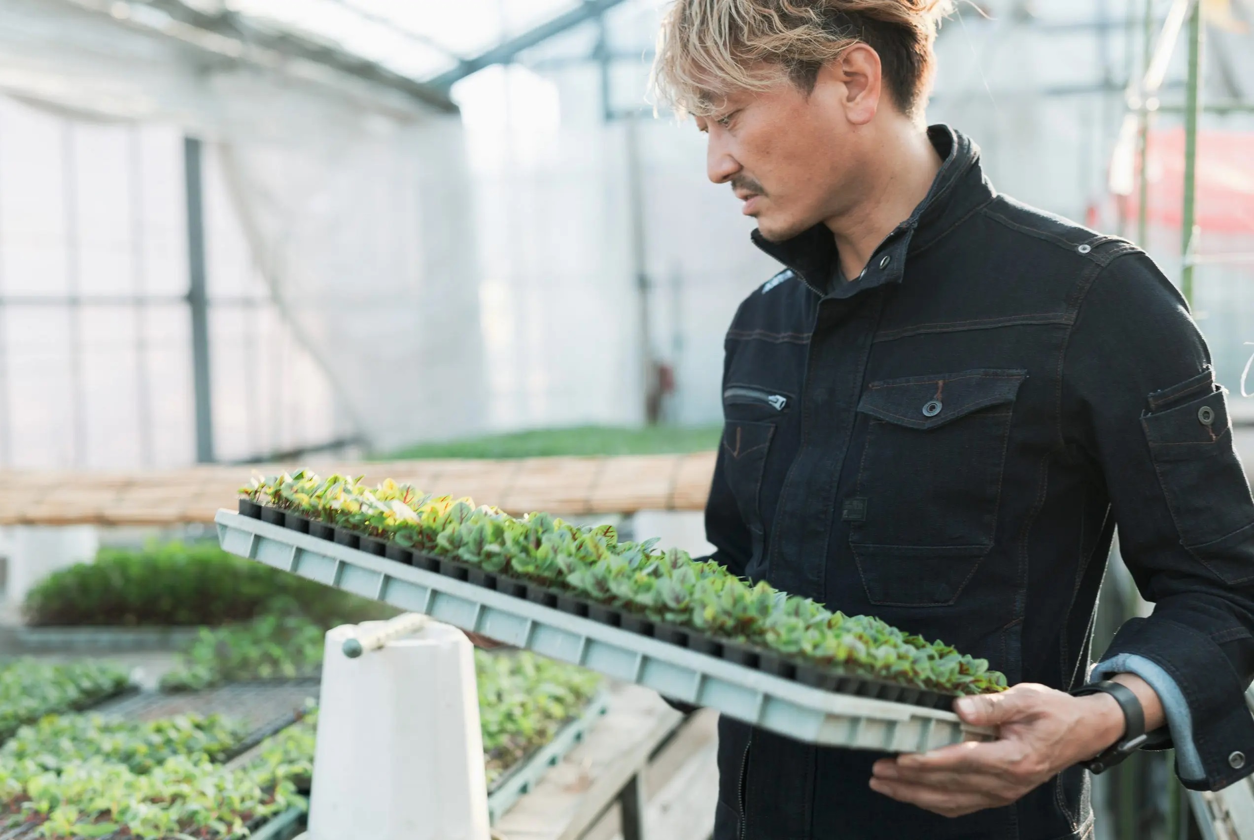 <h1 class="c-post_title" style="text-align: center;">井入農園／守山市</h1>
<p style="text-align: center;"><span>2024　10/10（木）</span></p>
<p style="text-align: center;">テーマ/和ハーブ</p>
<p style="text-align: center;">料金：4,500円<br />
シェフの料理実演！<br />
スペシャルランチも！</p>
